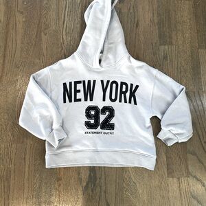 Zara- pale lilac New York crop hoody
